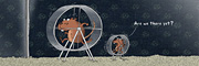 Description: Adult gerbil and child gerbil running on those little exercise thingers. Caption: Are we there yet?