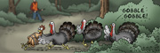 Description: Turkeys pushing a tied up chicken out from behind a bush while shouting 'gobble gobble'. Hunter in background.. Caption: GOBBLE GOBBLE!