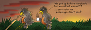 Description: Two birds catching a worm at sunrise. Caption: We got up before everybody else for breakfast worms?!? You realize we poop eggs, don't you?