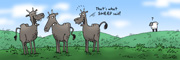 Sheep Said