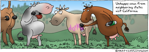 Description: Cows teasing a surprised cow. Caption: Unhappy cows from neighboring states visit California